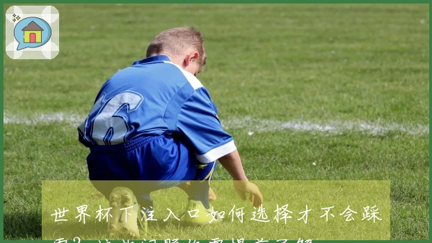 世界杯下注入口如何选择才不会踩雷？这些问题你需提前了解