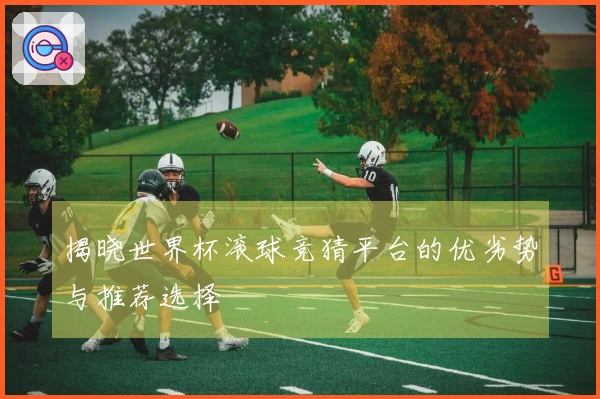 揭晓世界杯滚球竞猜平台的优劣势与推荐选择