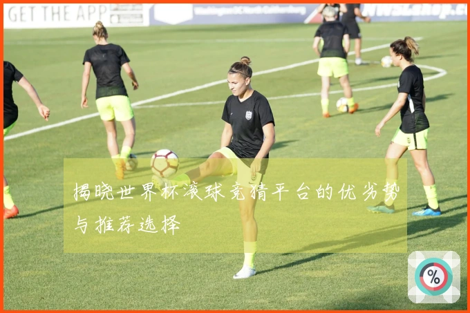揭晓世界杯滚球竞猜平台的优劣势与推荐选择