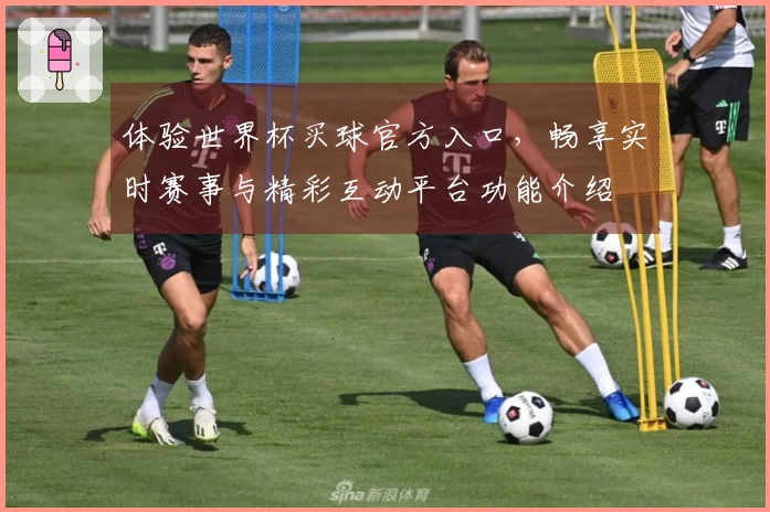 体验世界杯买球官方入口，畅享实时赛事与精彩互动平台功能介绍