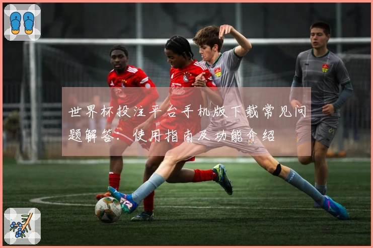 世界杯投注平台手机版下载常见问题解答：使用指南及功能介绍