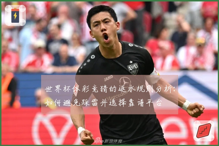 世界杯体彩竞猜的返水规则分析：如何避免踩雷并选择靠谱平台