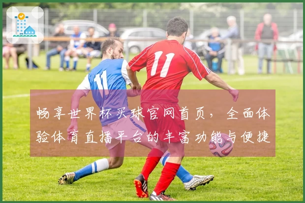 畅享世界杯买球官网首页，全面体验体育直播平台的丰富功能与便捷使用指南