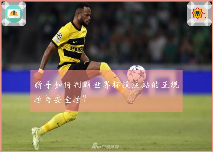 新手如何判断世界杯投注站的正规性与安全性？