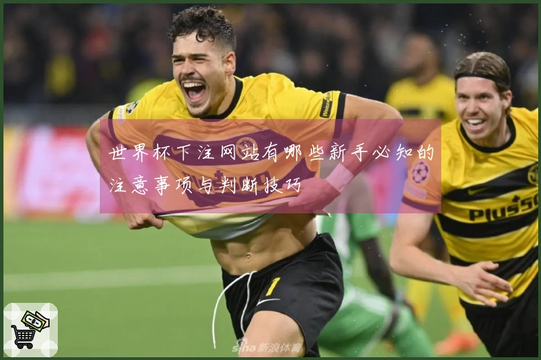 世界杯下注网站有哪些新手必知的注意事项与判断技巧