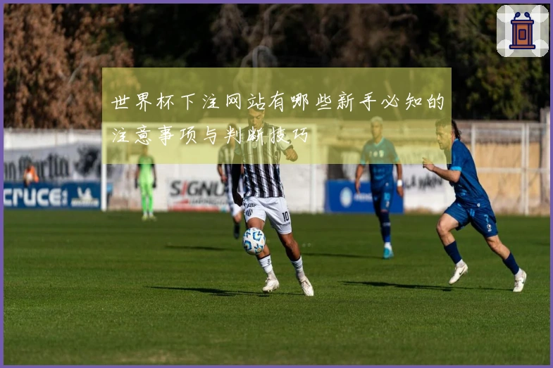 世界杯下注网站有哪些新手必知的注意事项与判断技巧