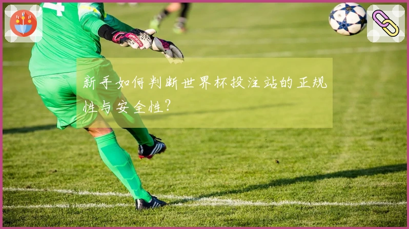 新手如何判断世界杯投注站的正规性与安全性？