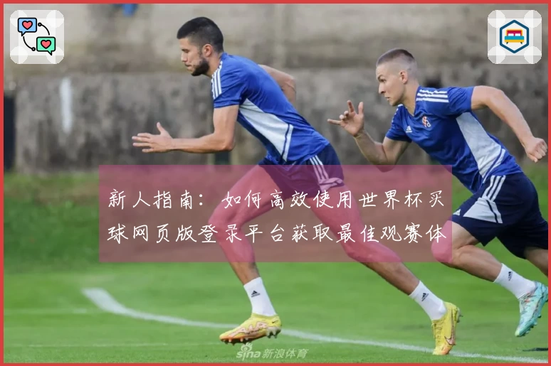 新人指南：如何高效使用世界杯买球网页版登录平台获取最佳观赛体验